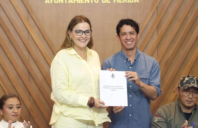 Cecilia Patrón presenta nuevo reglamento para la protección animal en Mérida