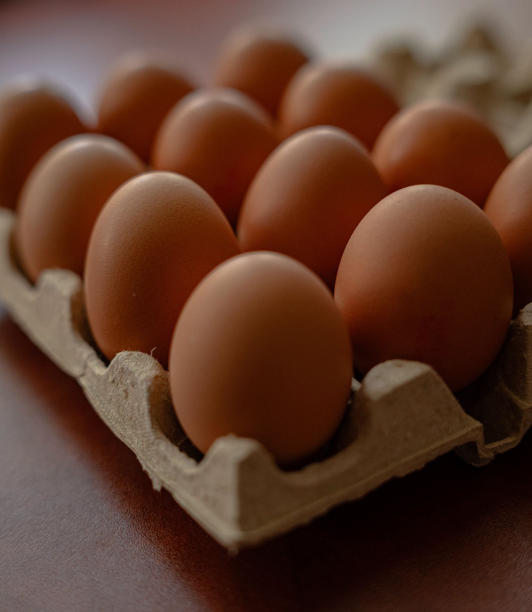 ¿Dónde se distribuyeron los huevos con salmonela?