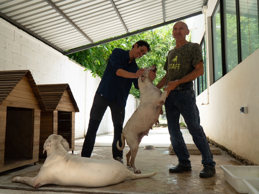 La UMABA busca que los perros de la Bojórquez puedan regresar con su dueño