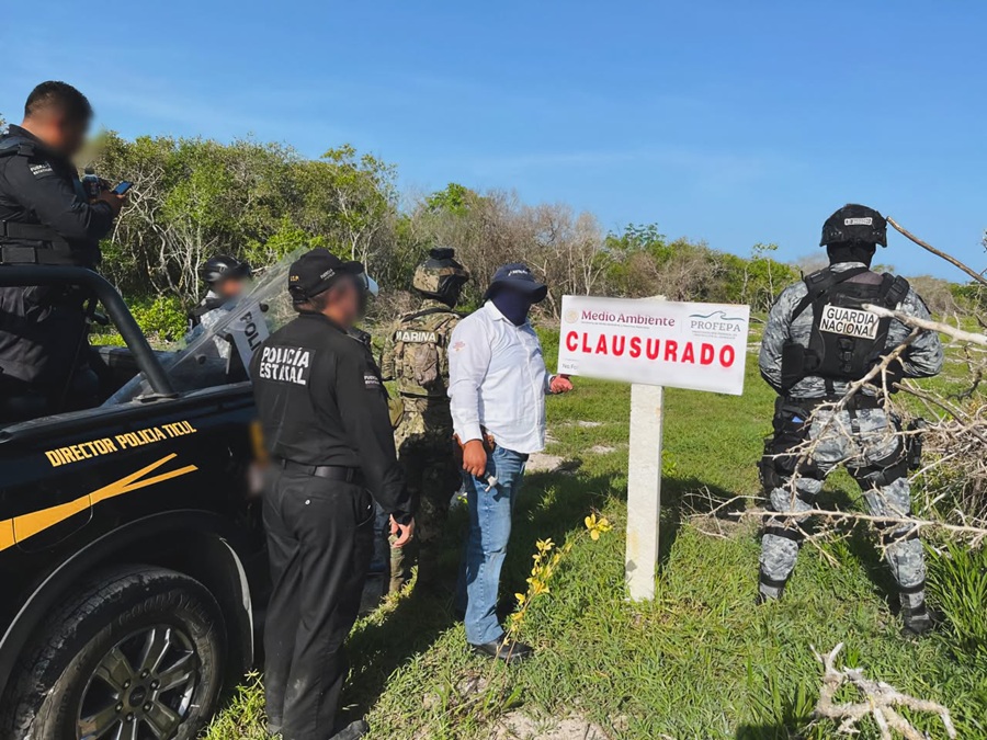 Profepa clausura varios desmontes ilegales en la Reserva de la Biosfera en Celestún