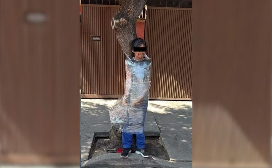 Vecinos emplayan a ladrón de bicicleta en un árbol