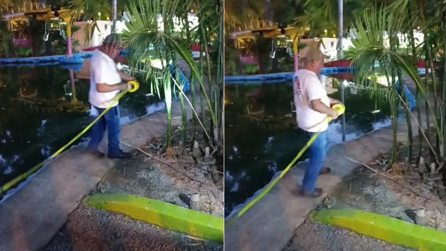 El Ayuntamiento de Mérida inicia protocolos preventivos en el lago del Centenario y el humedal del Parque Ecológico del Poniente